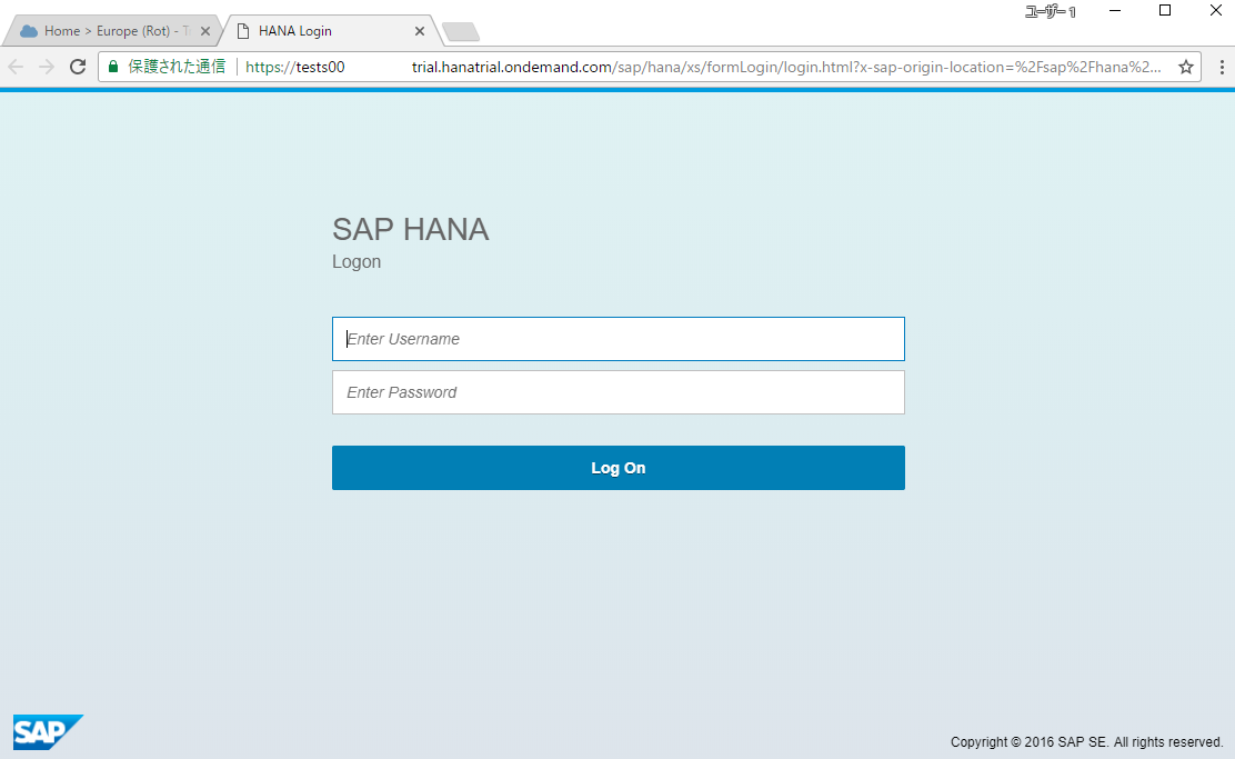 SAP HANA - SAP Cloud Platform Trial版　～接続・開発編～ 3
