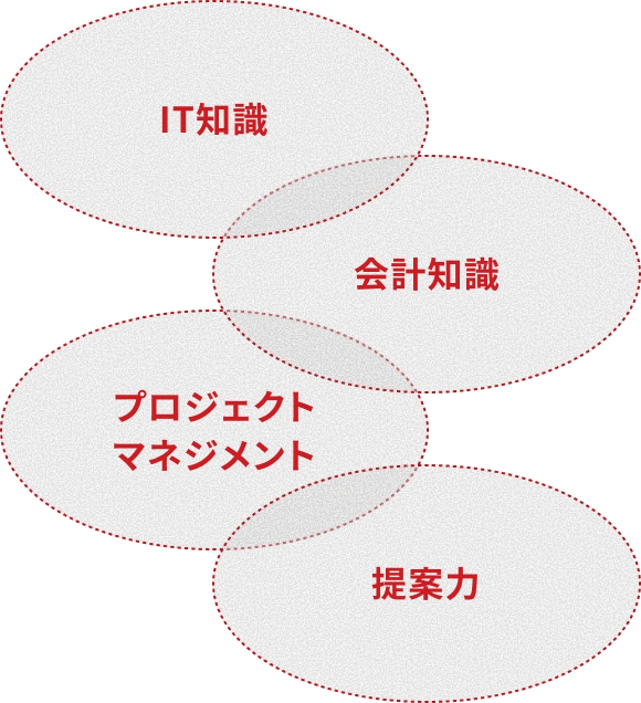 身につくスキル（IT知識・会計知識・プロジェクトマネジメント・提案力）の図