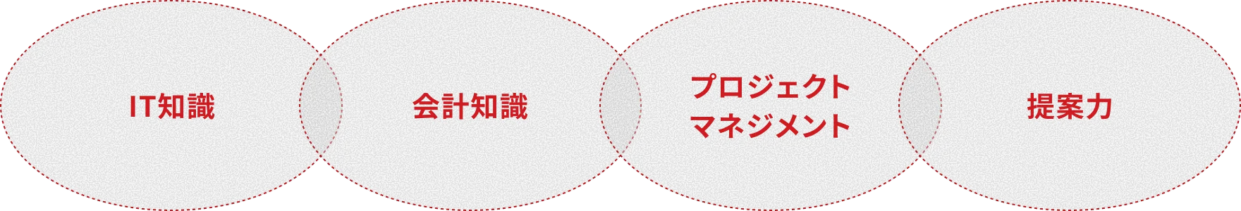 身につくスキル（IT知識・会計知識・プロジェクトマネジメント・提案力）の図