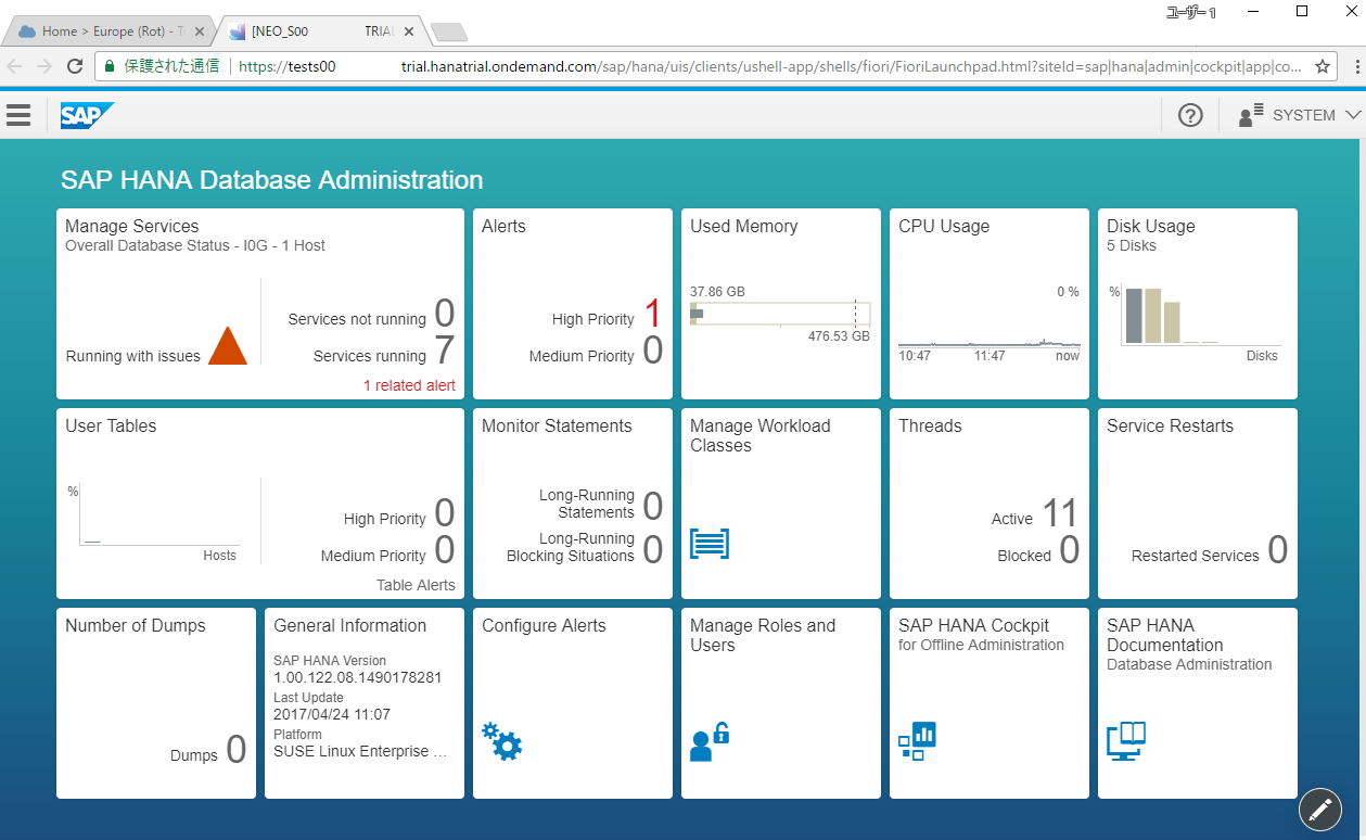 SAP HANA - SAP Cloud Platform Trial版　～接続・開発編～ 6