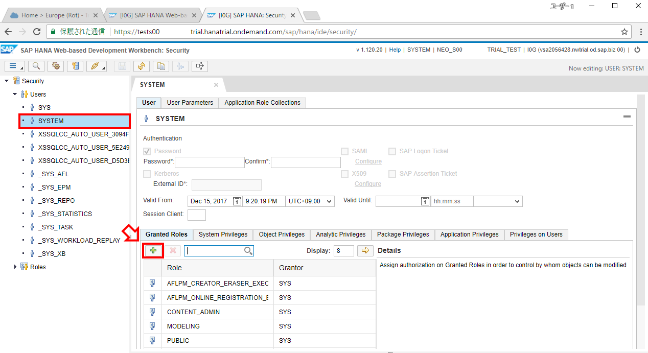 SAP HANA - SAP Cloud Platform Trial版　～接続・開発編～ 8