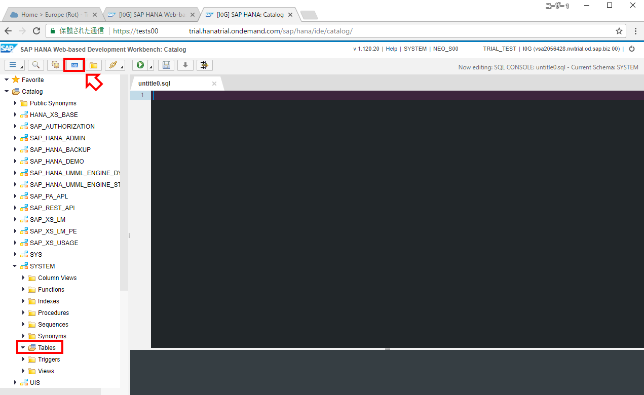 SAP HANA - SAP Cloud Platform Trial版　～接続・開発編～ 12