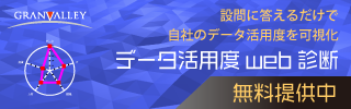 データ活用度診断サービス